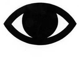 Logo for Argus. An eye