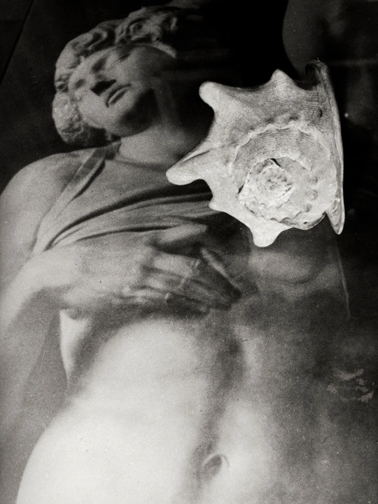 The Dying Slave by Michelangelo and a shell