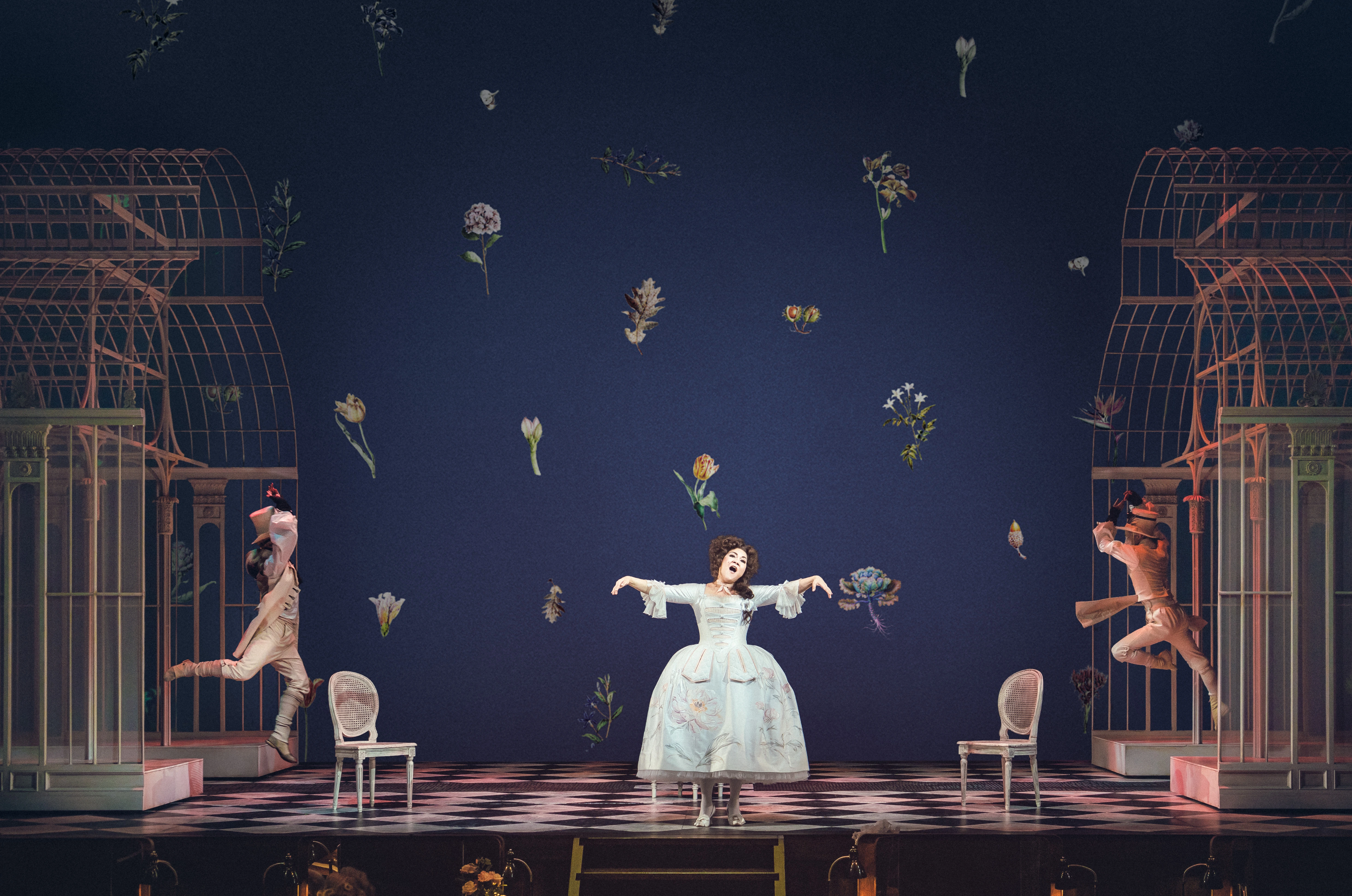 Barber of Seville