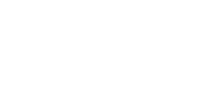 ZMIST