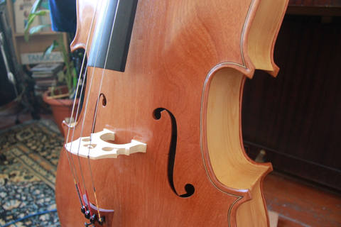 Building a cello, photograph 4 of 62