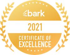 Limeapps 2021 Certificate of Excellence