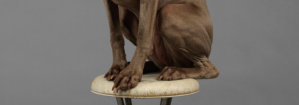 Christophe Brunnquell - Masthead Magazine - Op-Ed