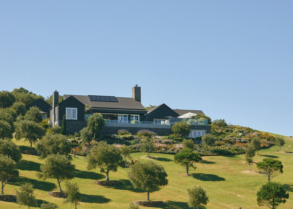 Coastal Waiheke: a house above an olive-planted slope and open grass, Waiheke Island