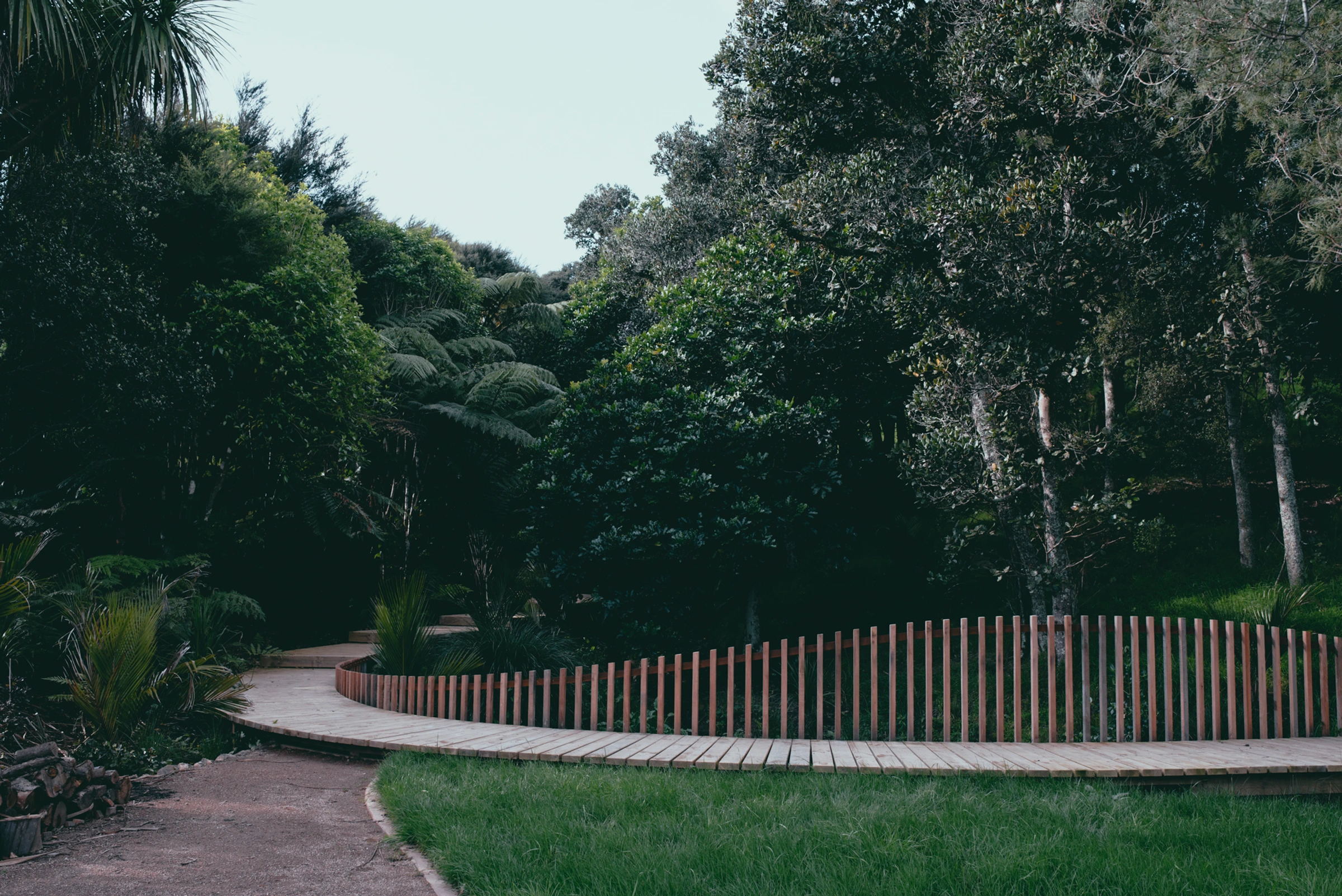 Tantalus Estate: a curved timber boardwalk through ferns and wetland planting, Waiheke Island