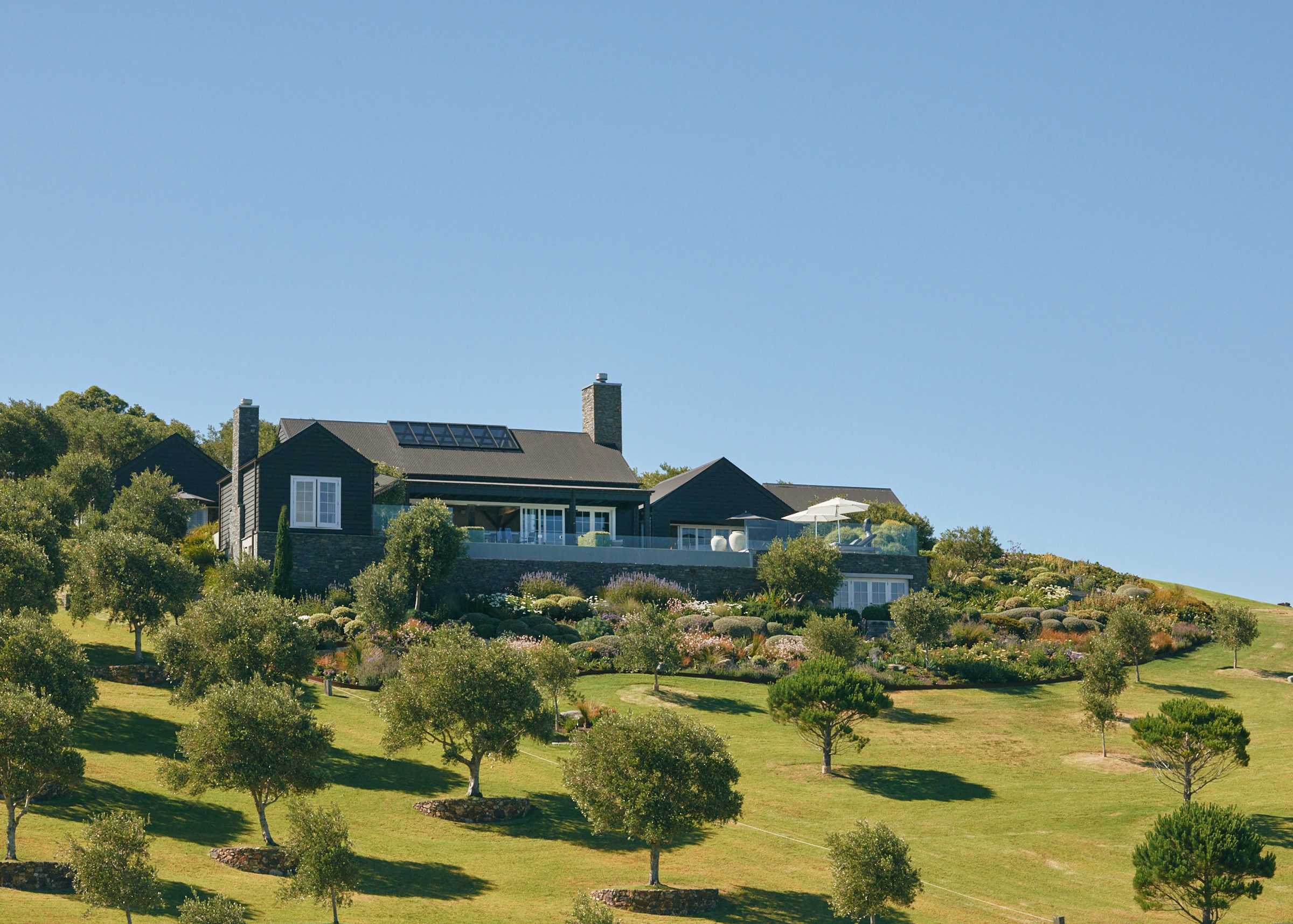 Coastal Waiheke: a house above an olive-planted slope and open grass, Waiheke Island