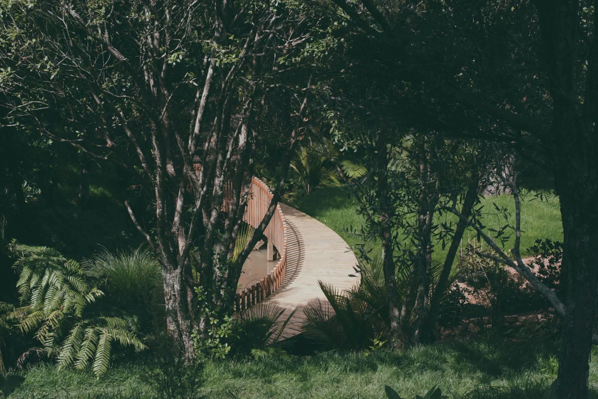 Tantalus Estate: a curved timber boardwalk through ferns and wetland planting, Waiheke Island