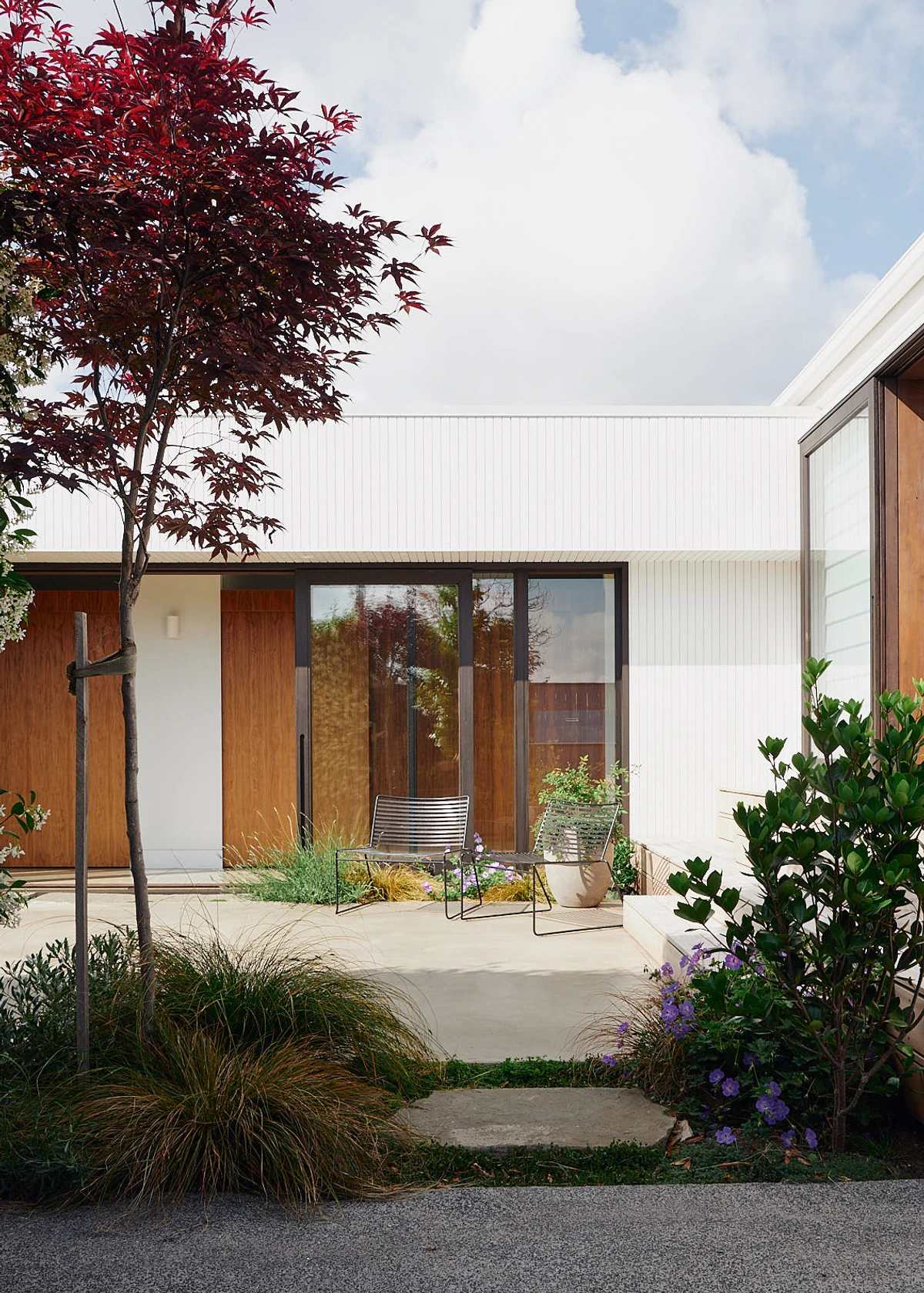 Morning Court: a Japanese maple beside a cedar-clad entry, with grasses and limestone paving