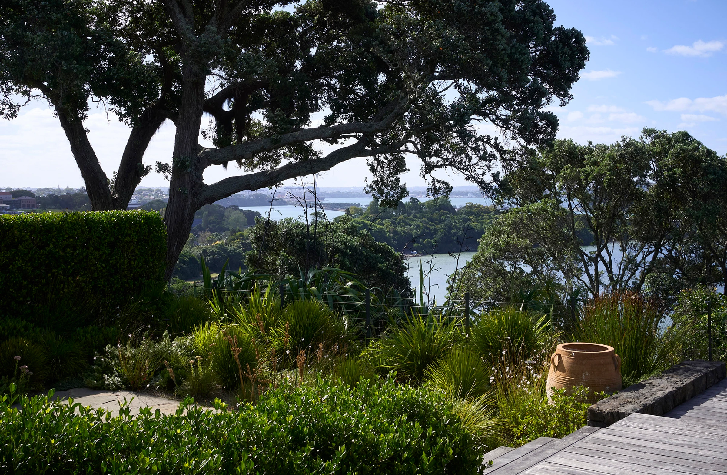 Martin Ave: a mature pōhutukawa framing the view over Ōrākei Basin, with a terracotta urn and grasses