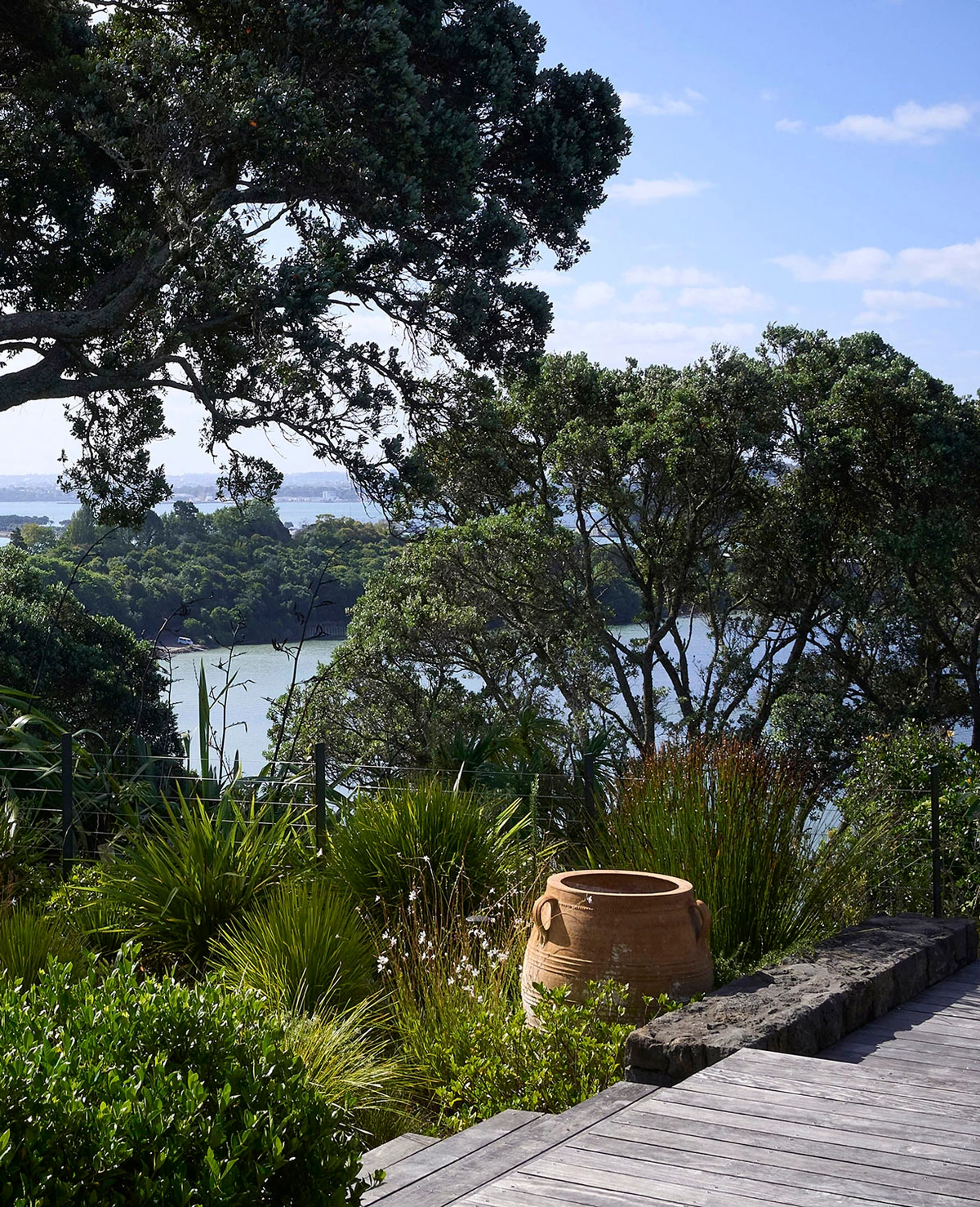 Martin Ave: a mature pōhutukawa framing the view over Ōrākei Basin, with a terracotta urn and grasses