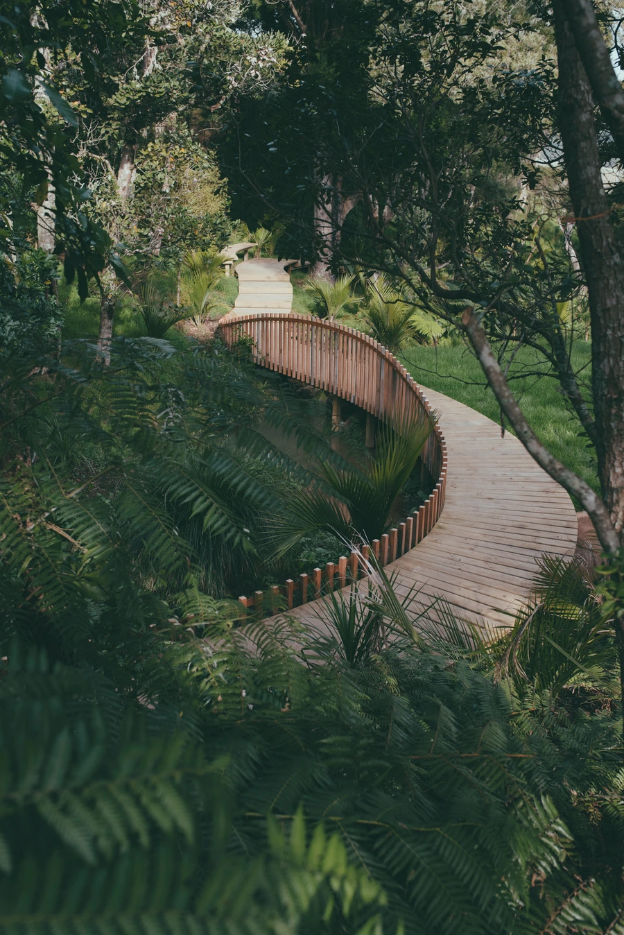 Tantalus Estate, boardwalk through Waiheke Island wetlands