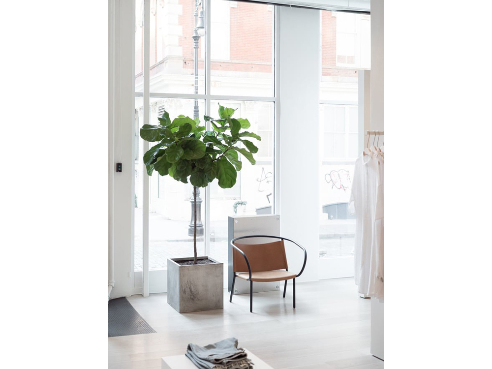 Oak + Fort store interior with lounge chair