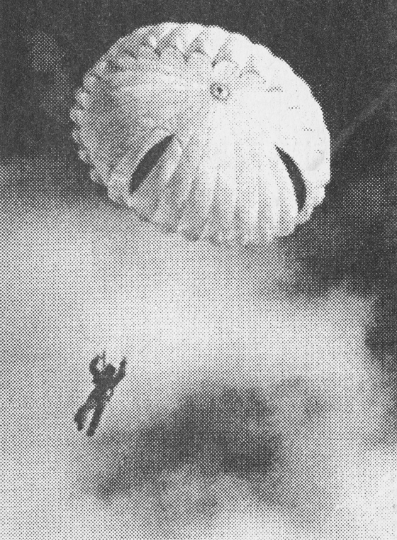 Untitled. (smoke jumper #1) from Dark Matter by Ron Jude