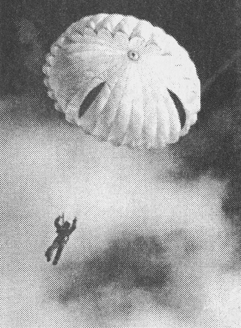 Untitled. (smoke jumper #1) from Dark Matter by Ron Jude