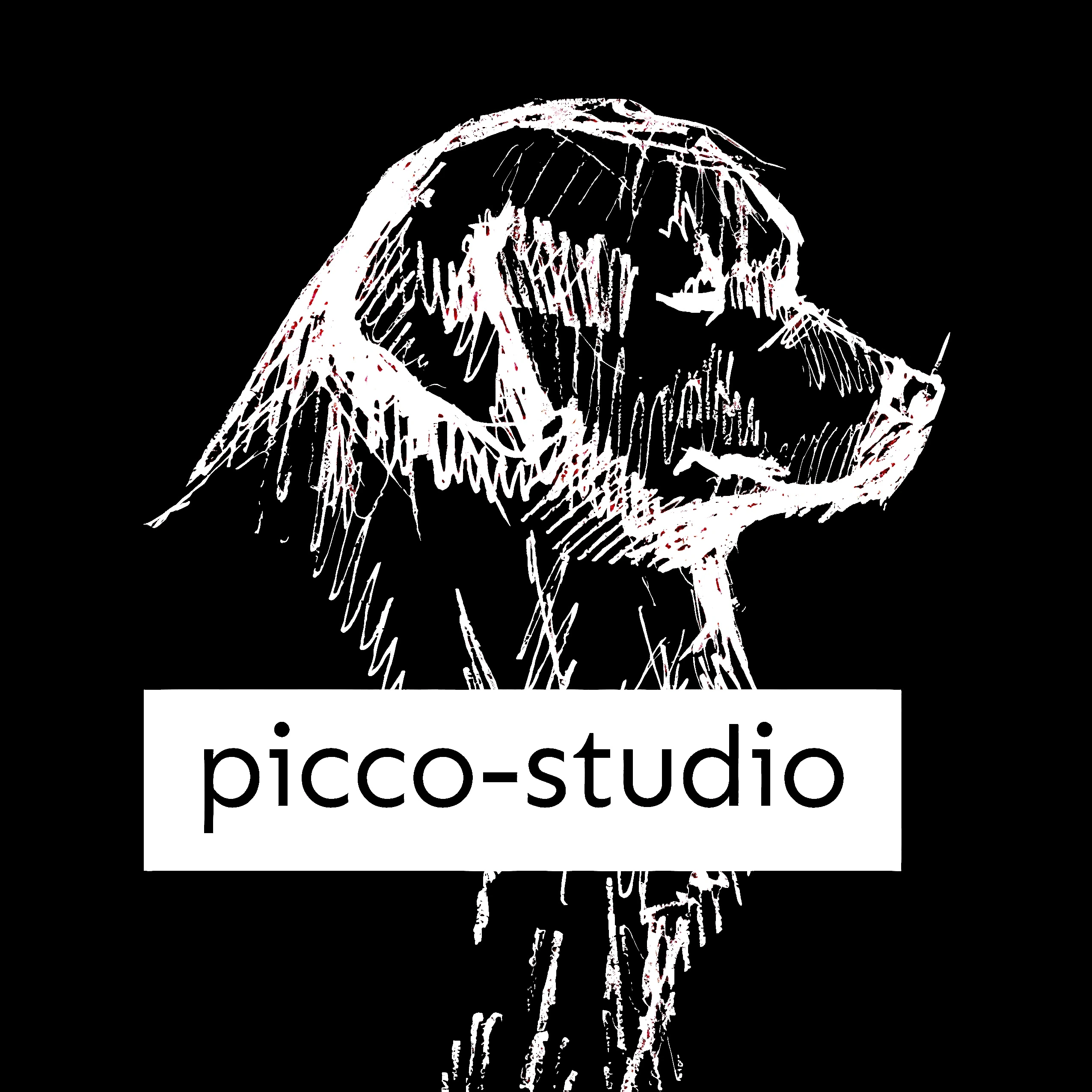 Picco-Studio — Filmproduktionsgesellschaft Berlin, Muttergesellschaft von Picco-Vision AI