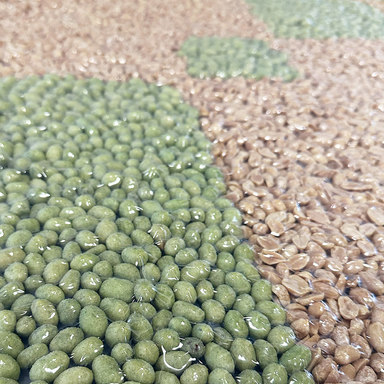 Sebastian Jung β Artist β Peatnut Carpet