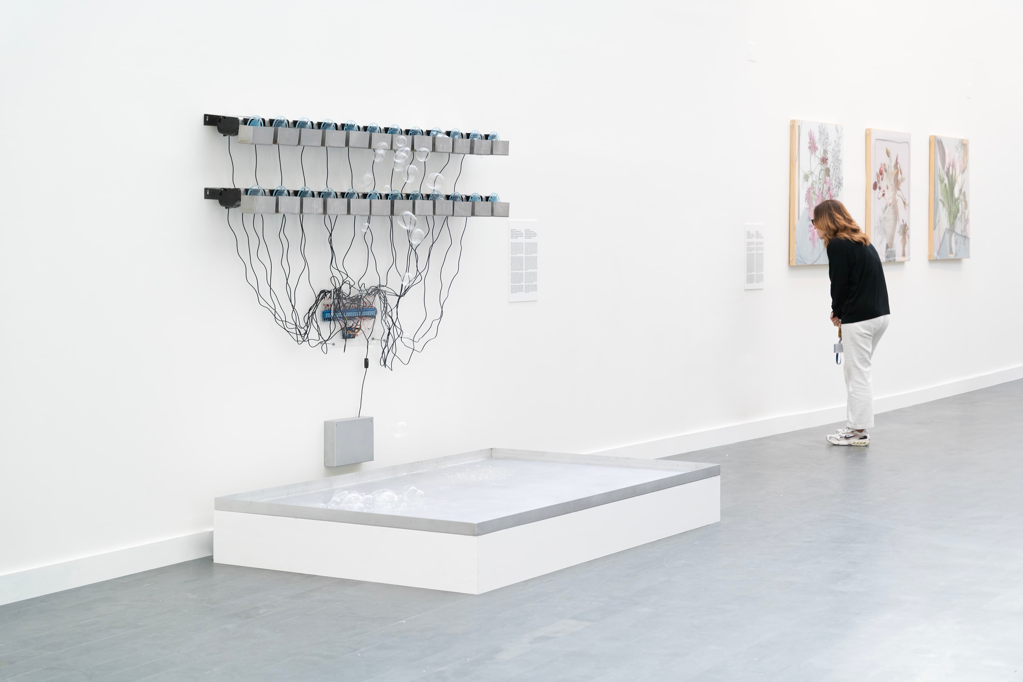 Isabel Merchante — Organ for a Computer