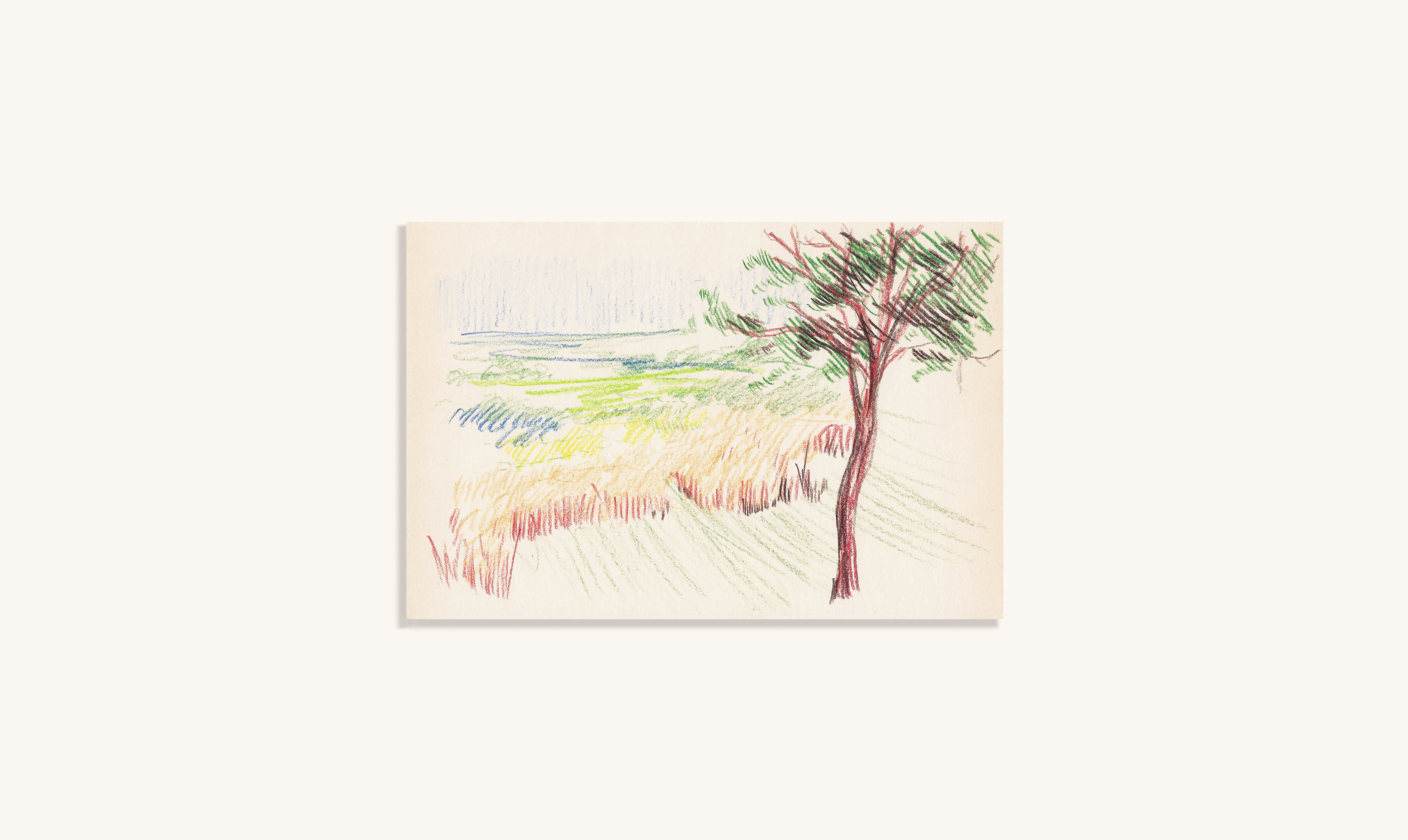 Afonso Rocha — Works on Paper
