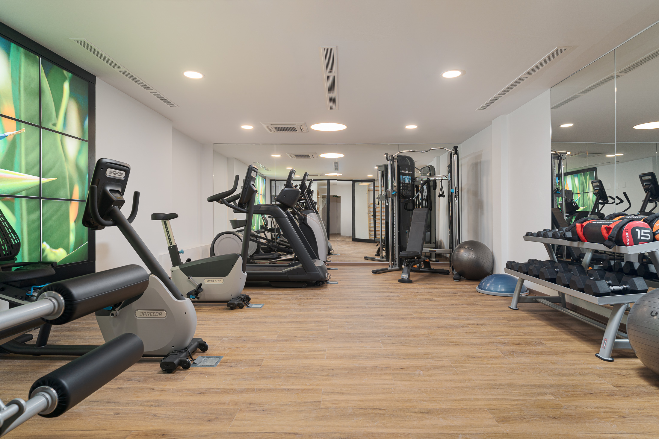 gimnasio