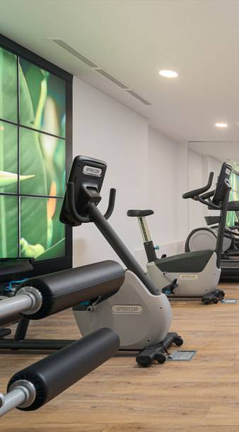 gimnasio