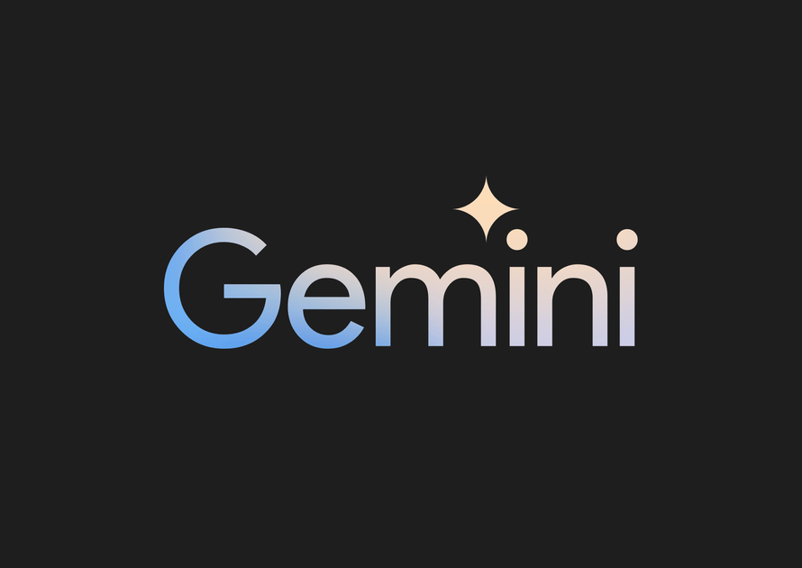 Woman poses with IBIS mountain bike featuring the bird logo and the large IBIS logo on her shirt