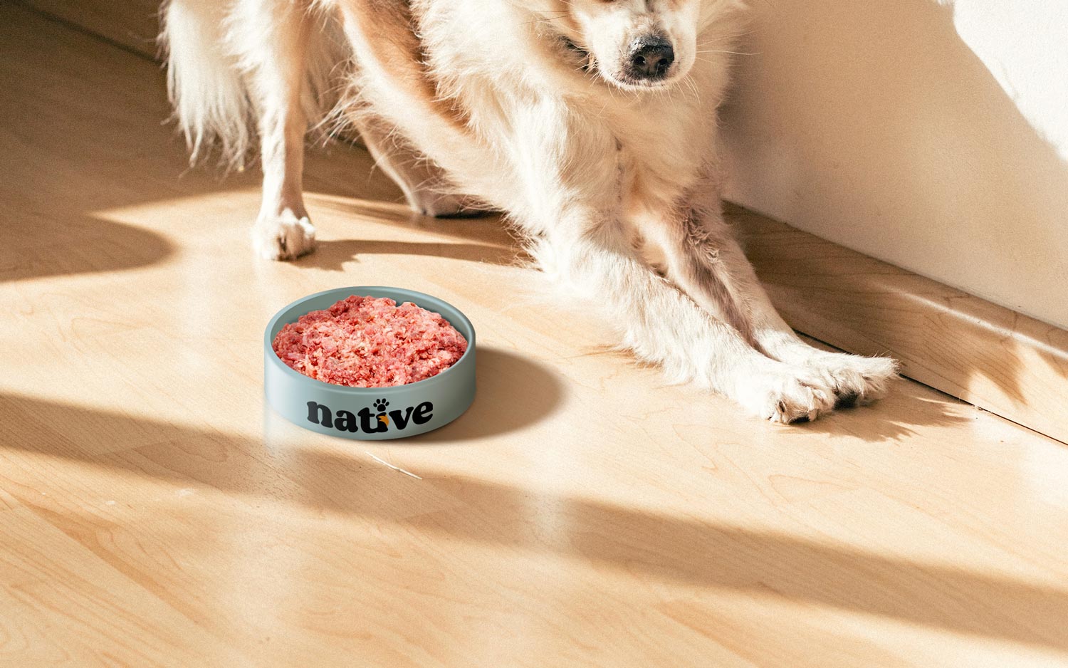 Feed Native - CHOW