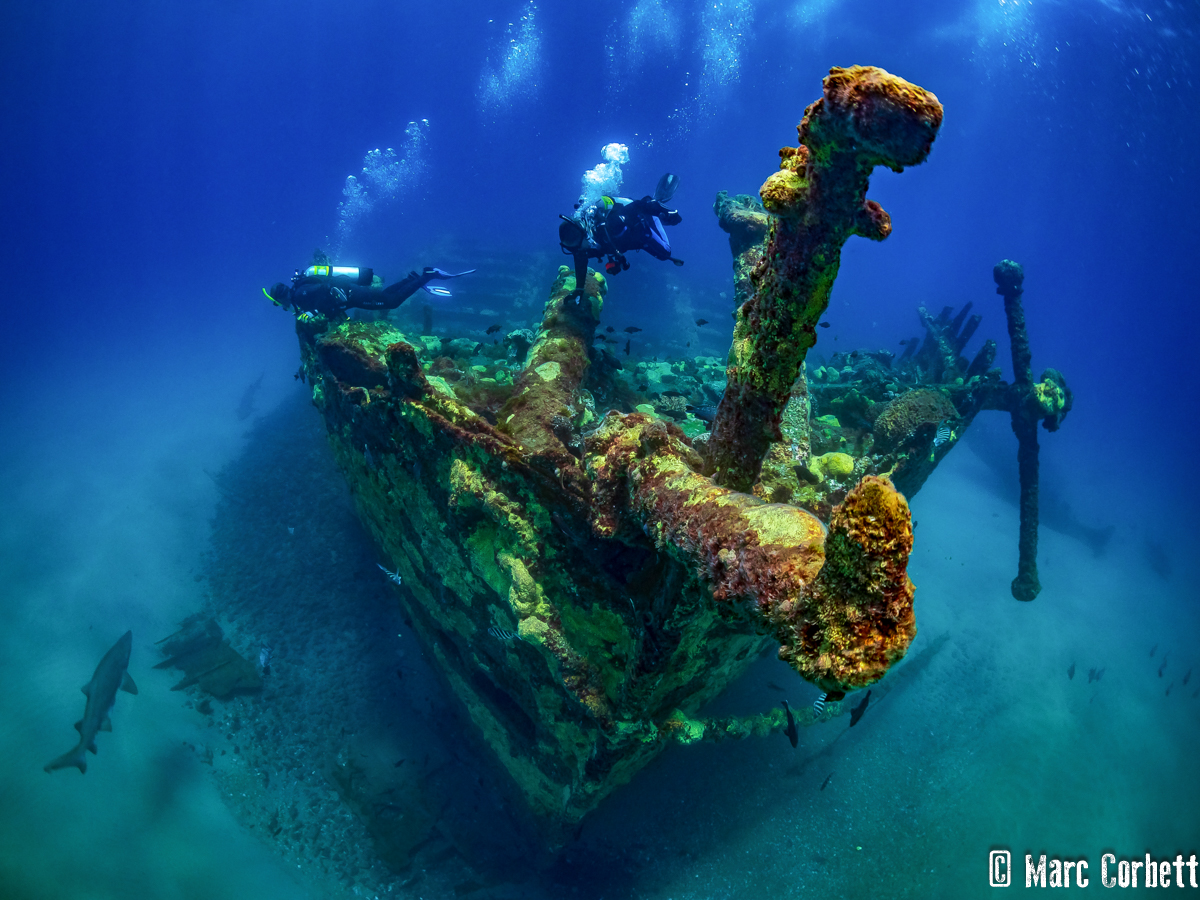 Home [nc-shipwreckproject.com]