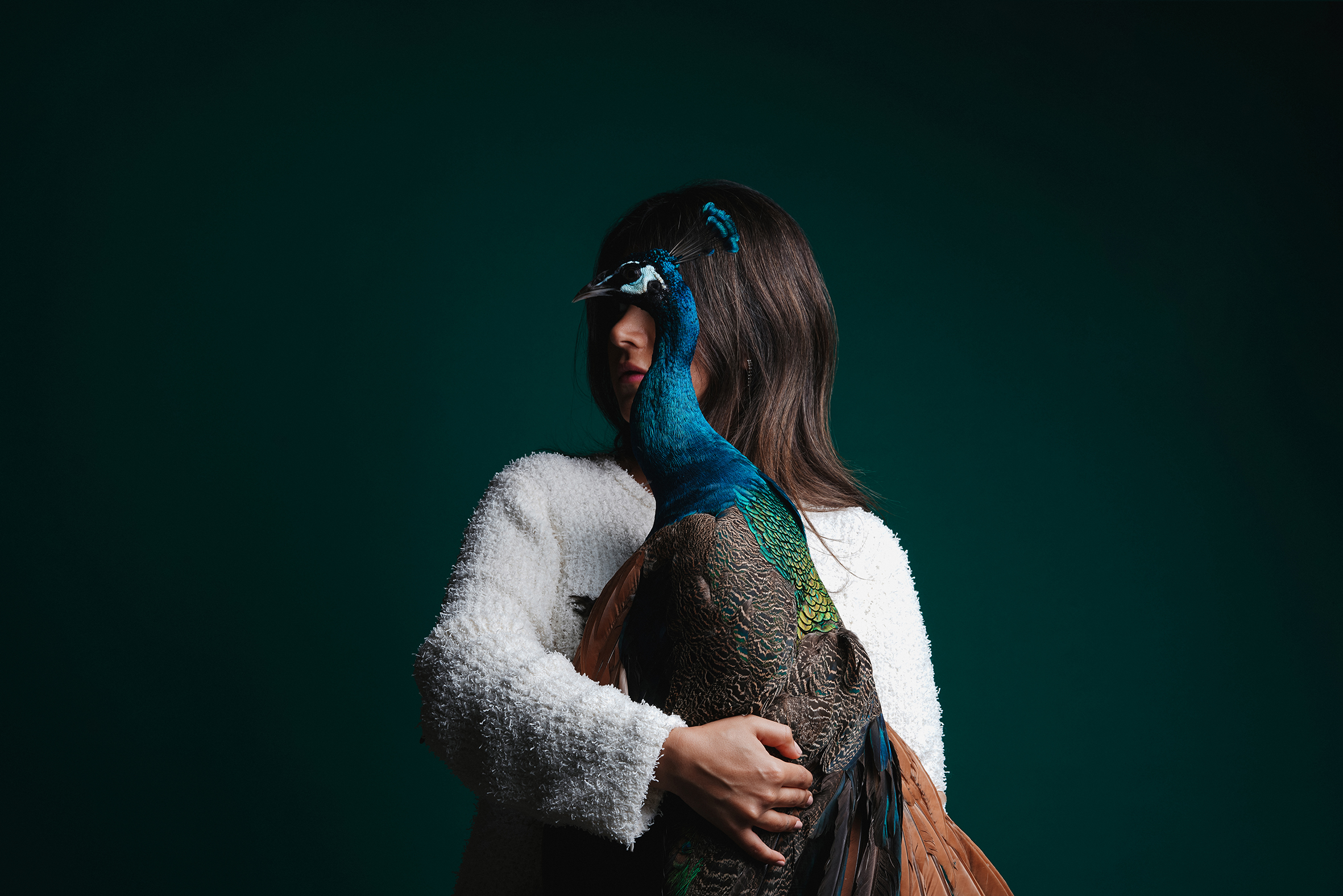 BedRock Holding — ZAHI