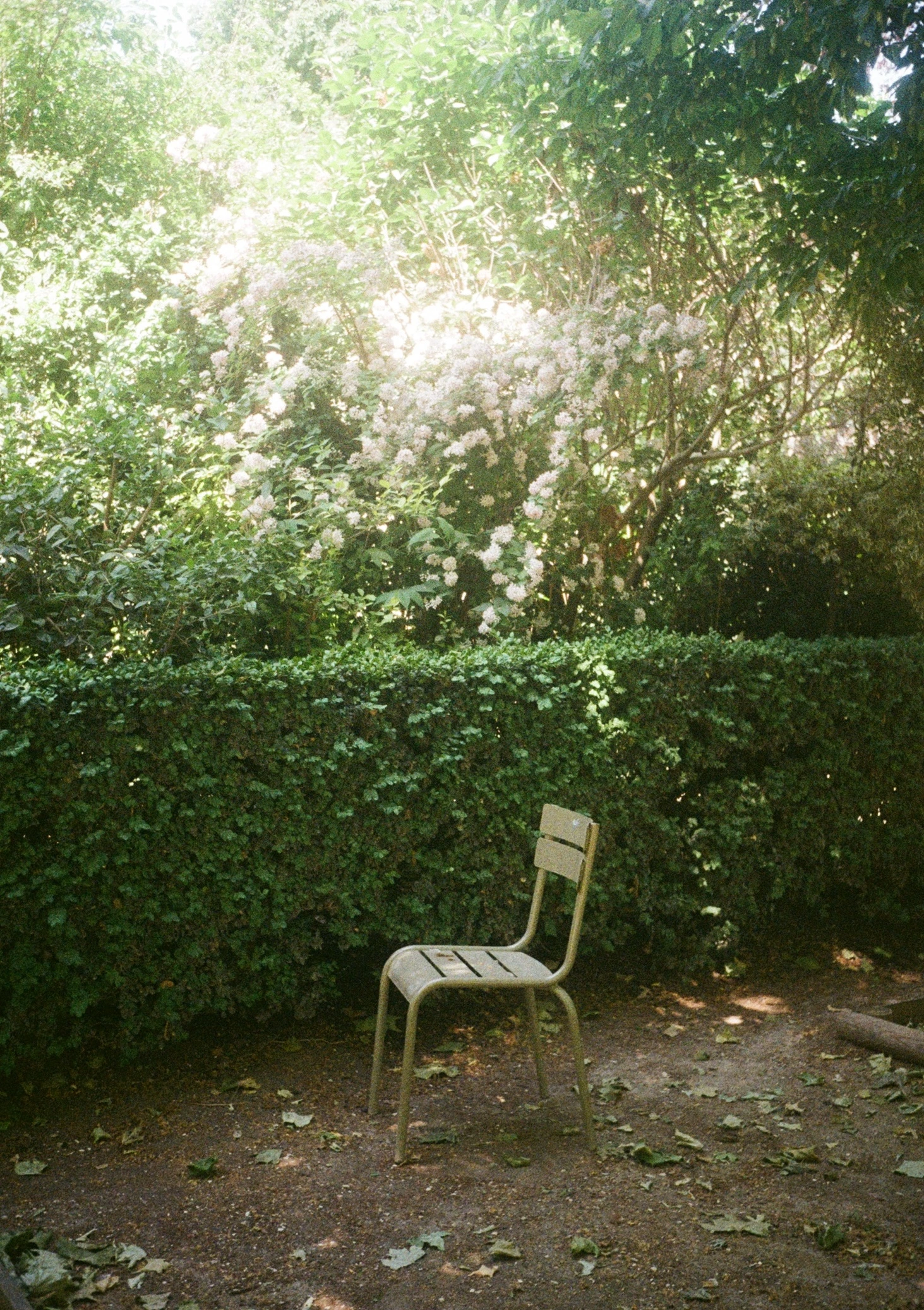 Finding Yourself Between the Chairs Finding Yourself Between the Chairs
