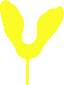 Animation de 3 samares à l'horizontal.