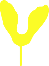 Animation de 3 samares à l'horizontal.