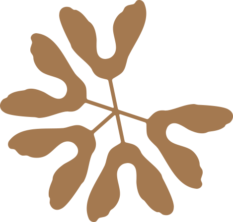 Animation de samares en rond.