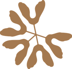 Animation de samares en rond.