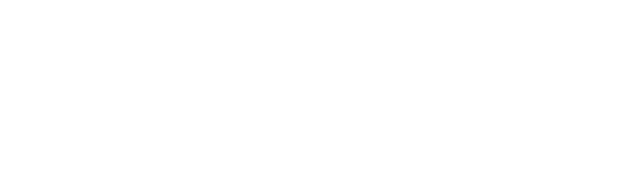 VP Projects