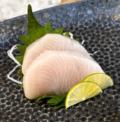 wild yellowtail