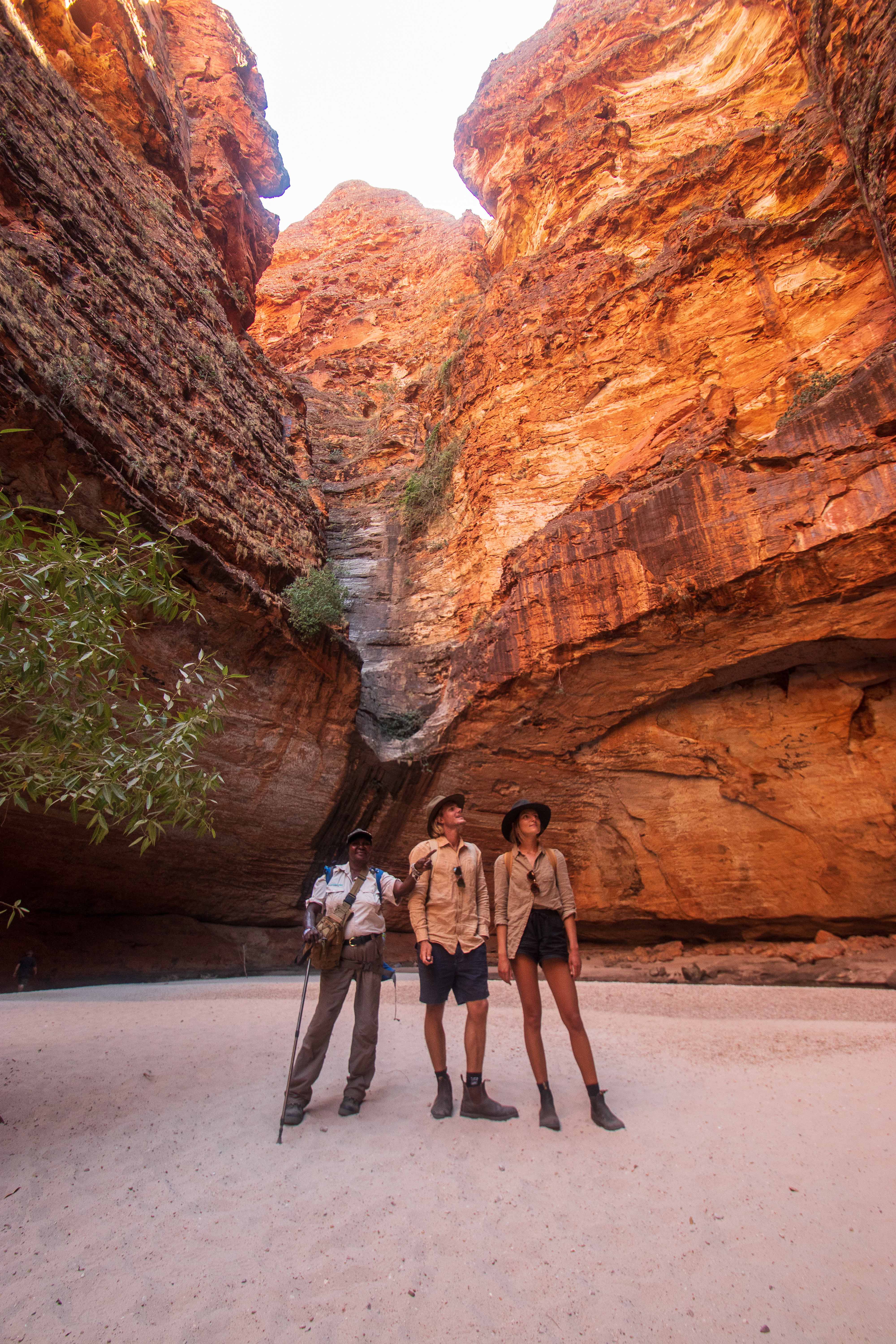 DAE STORY BANK 2026 — Guide to Australian outback