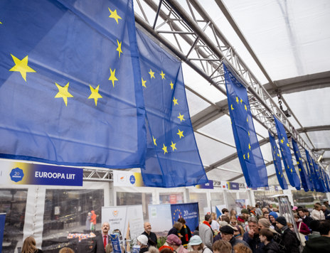 Euroopa Liidu lipud Vabaduse väljakul Tallinnas Euroopa päeva telgis