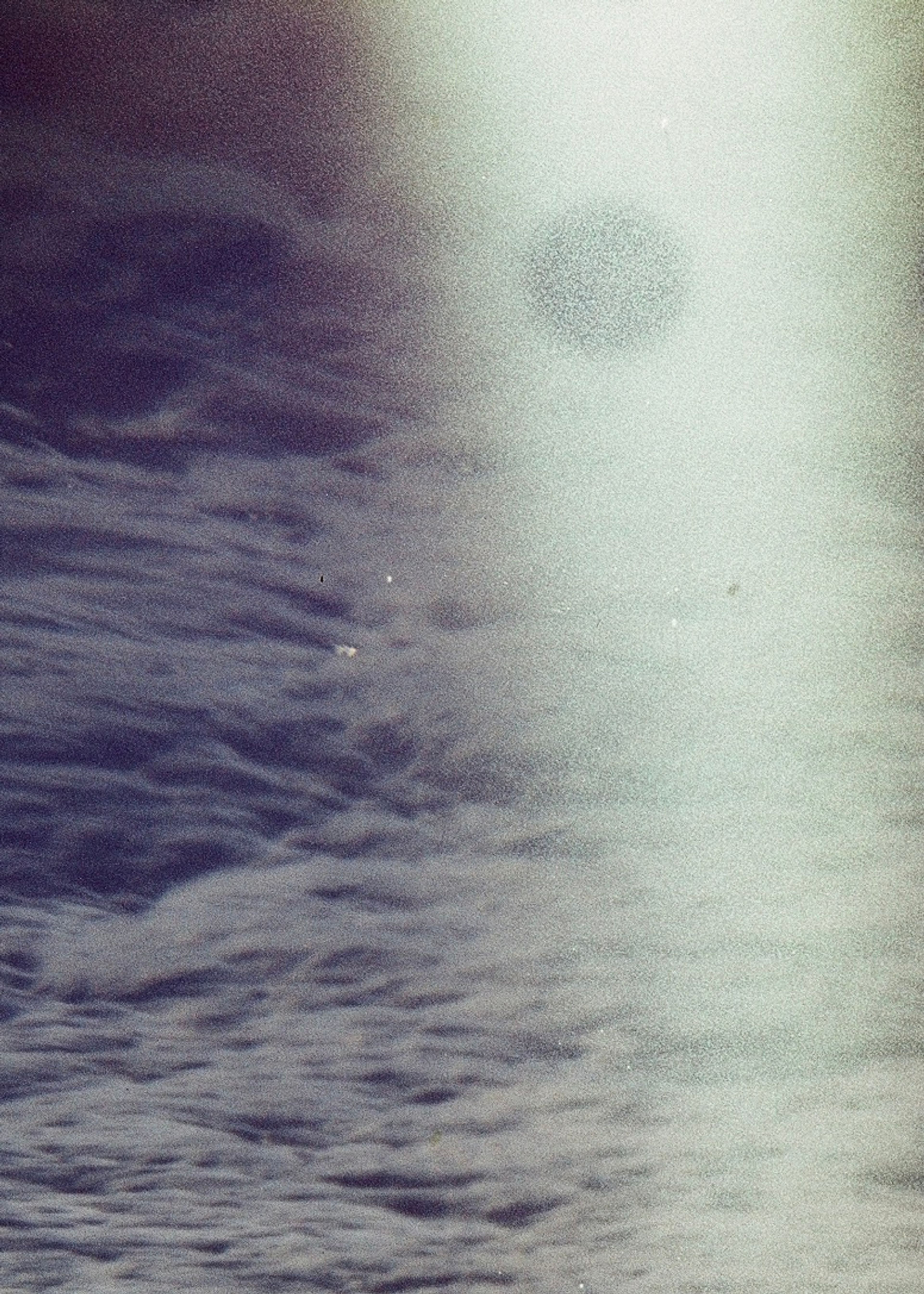 Cassie Arden — Film Photography