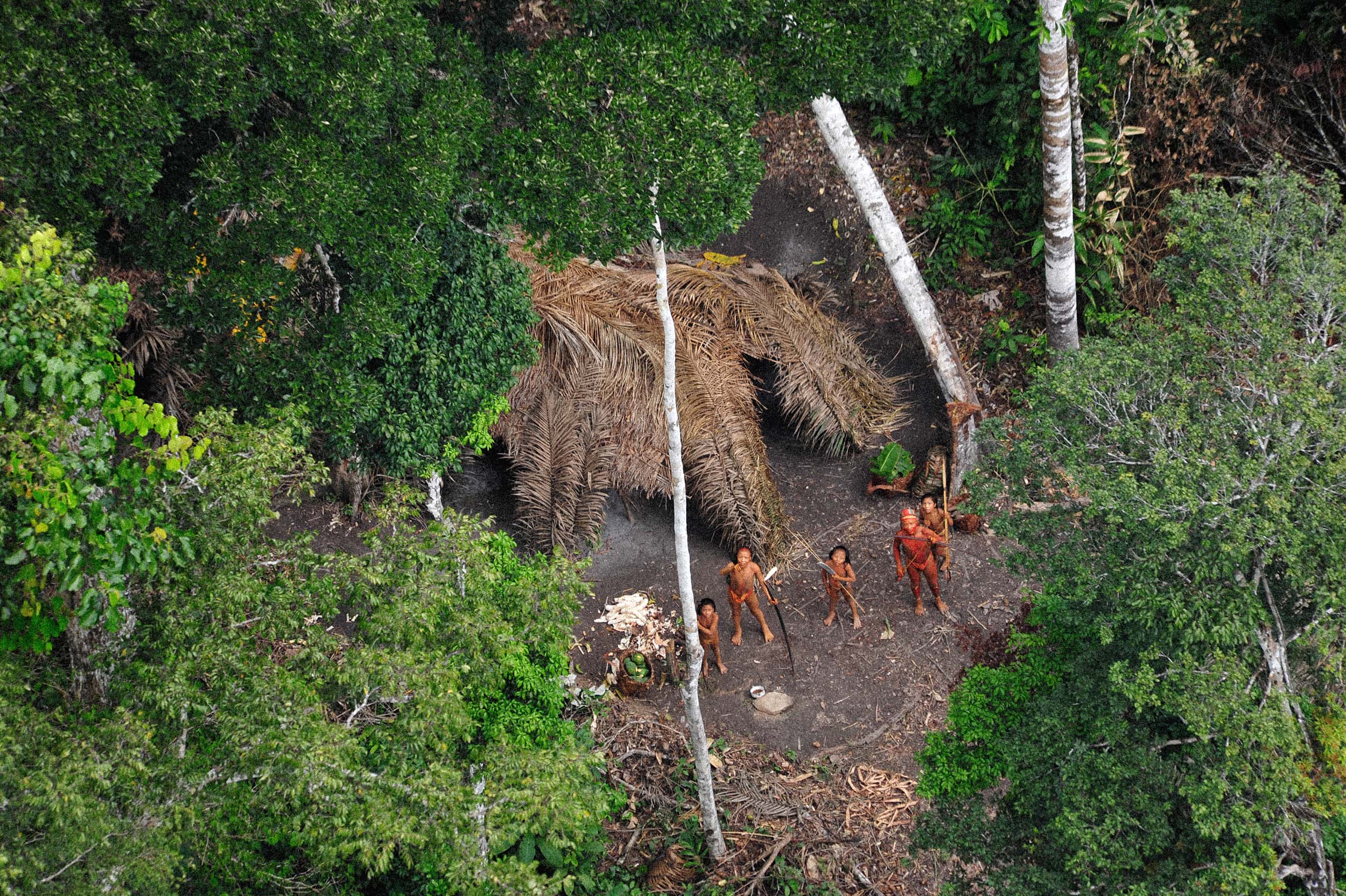 Uncontacted Peoples: at the edge of survival