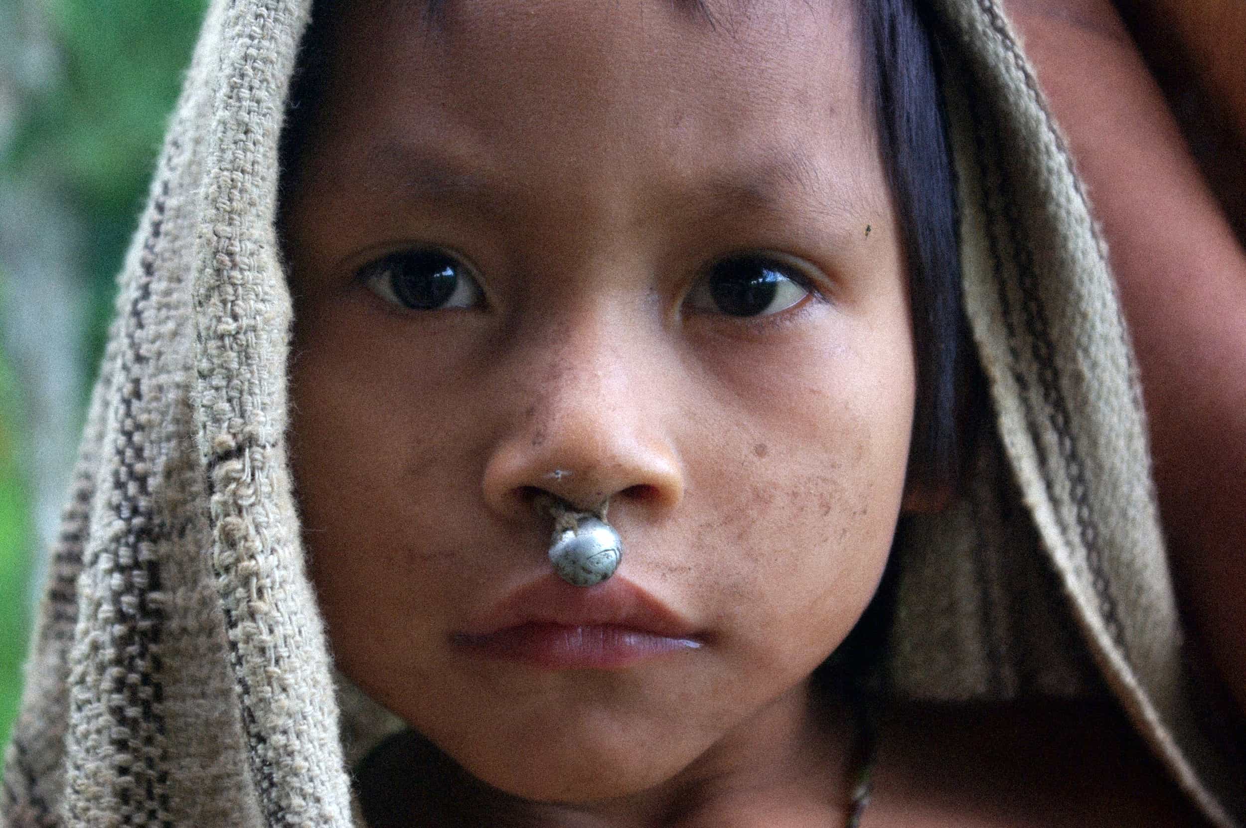 Uncontacted Peoples: at the edge of survival