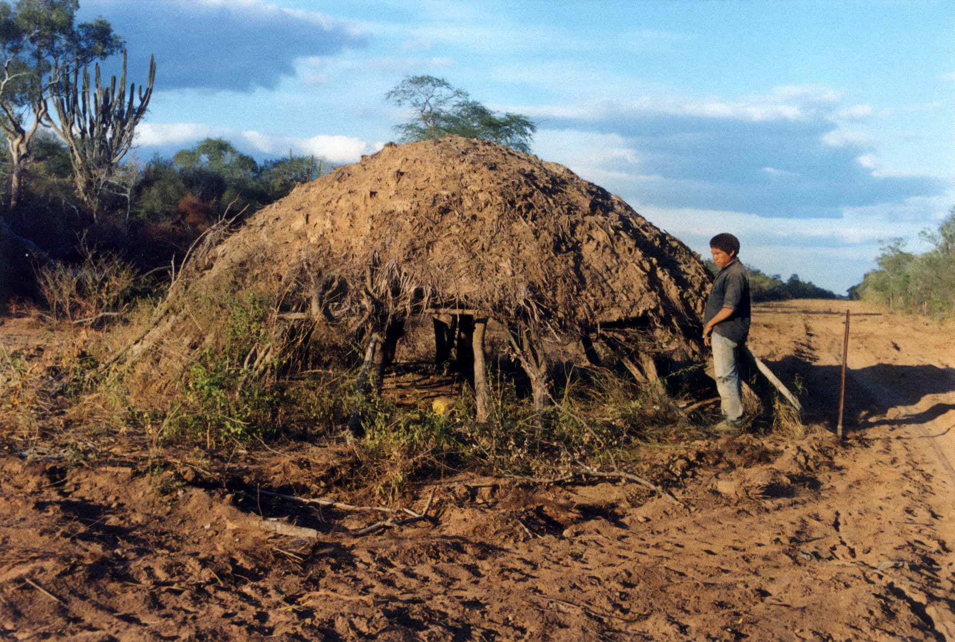 Uncontacted Peoples: at the edge of survival