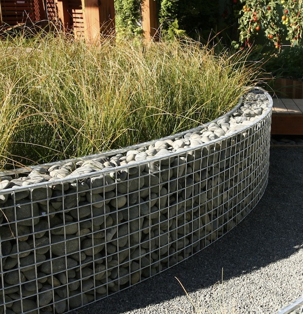 When wildlife moves in — Gabion Wall