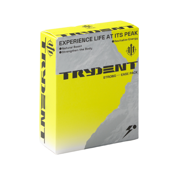 三登 Trydent