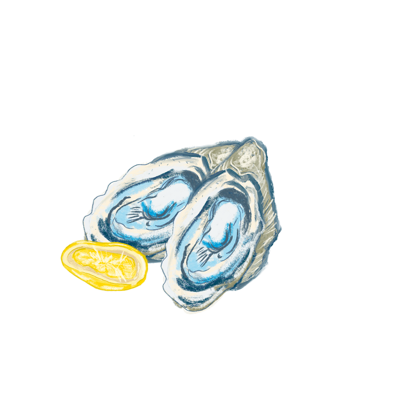 Illustrated design 1