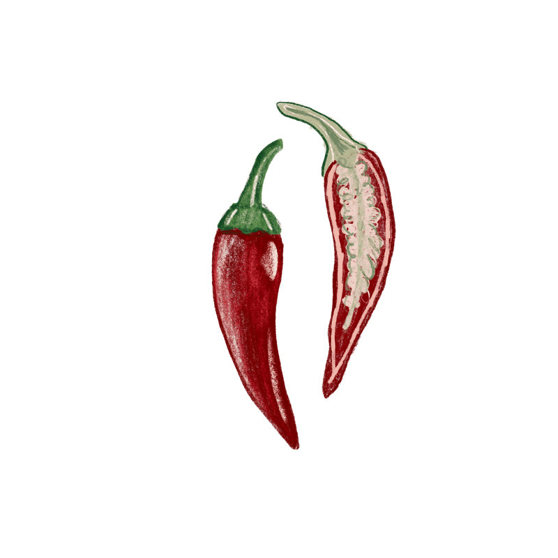 Illustrated design 2