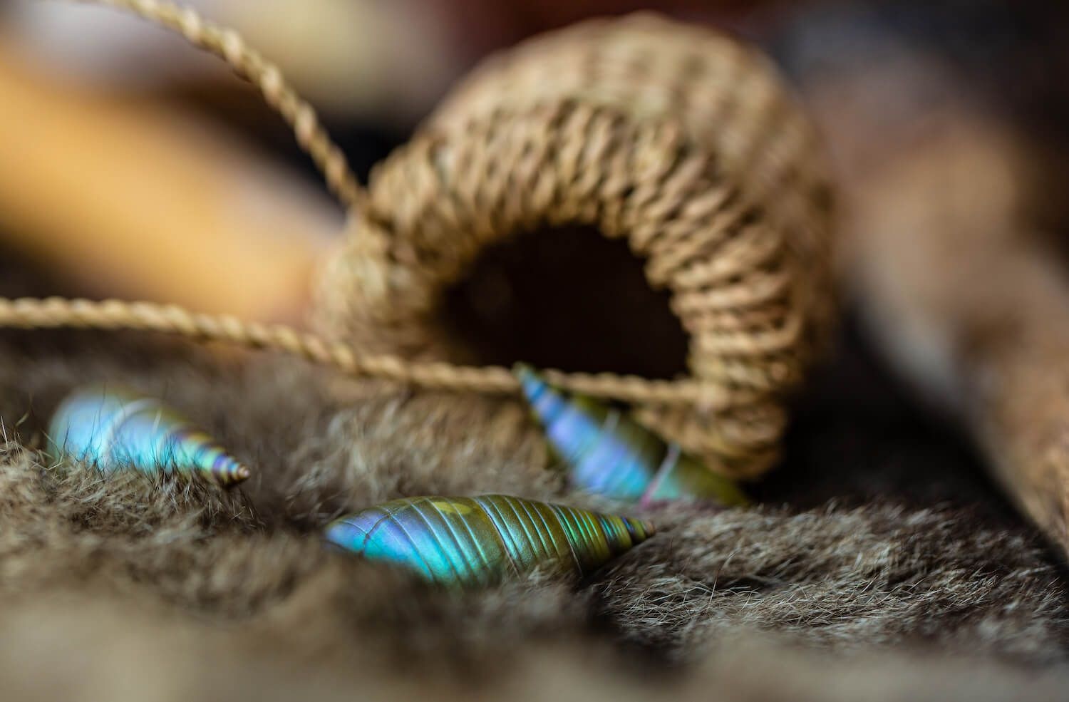 DAE STORY BANK 2026 — Guide to Aboriginal shellwork