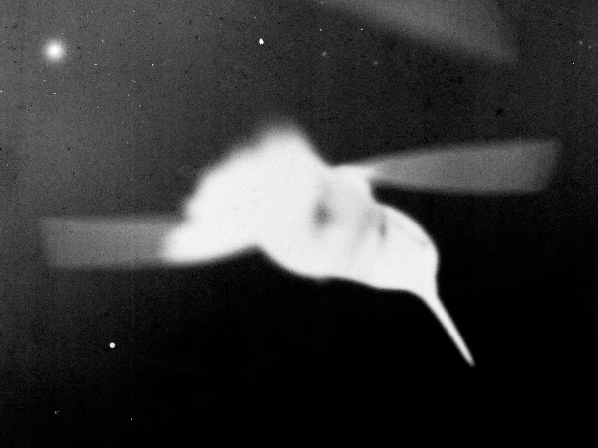 Black-and-white archival photograph of a hummingbird, appearing ethereal against a dark background