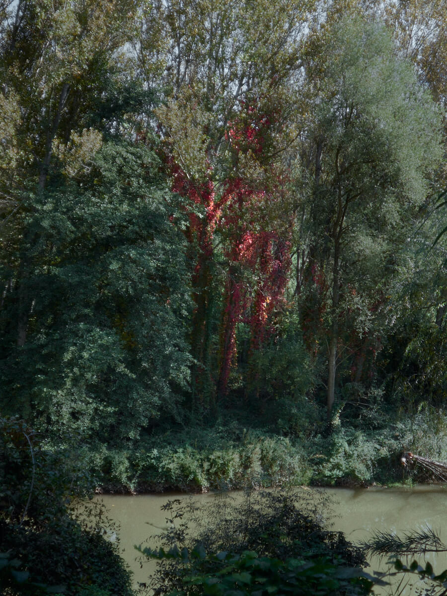 View of the Llobregat River, which powered the textile colonies and served as a leisure space for workers