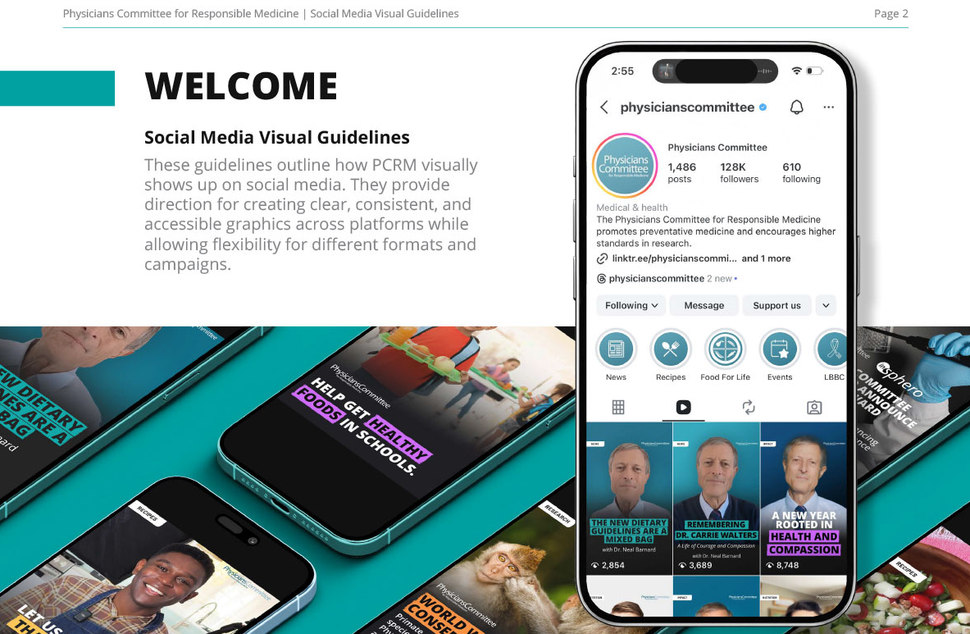 Social Framework Indesign Design Portfolio — SocialMediaDesignSystems